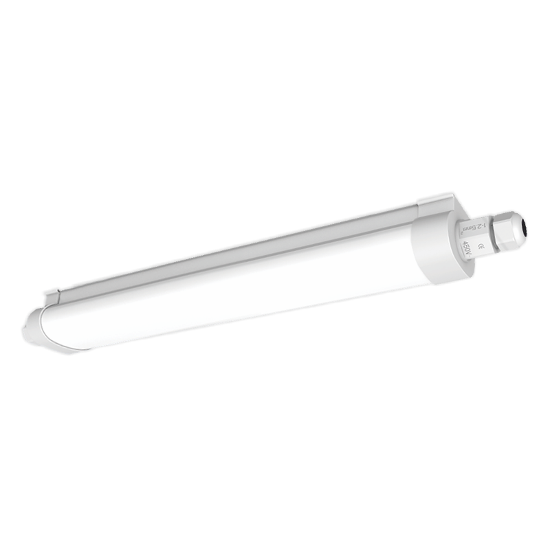 18W dulkėms ir vandeniui atsparus (IP65) LED šviestuvas LION AVARINIS