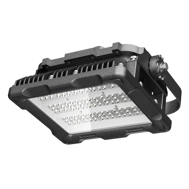 50W sprogimams atsparus LED prožektorius ELGIN - Nuotrauka 3