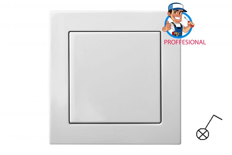IJ1.10-204-01.E/B Flush mounting 1xswitch,with LED,spring cont.w/f - Image 1