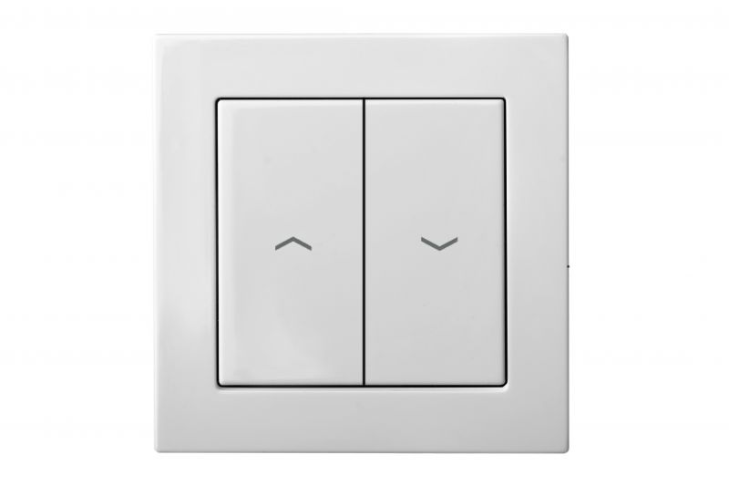 IJZ1.10-001-01.E/B Flush mounting roller switch, 10A, w/f - Image 1