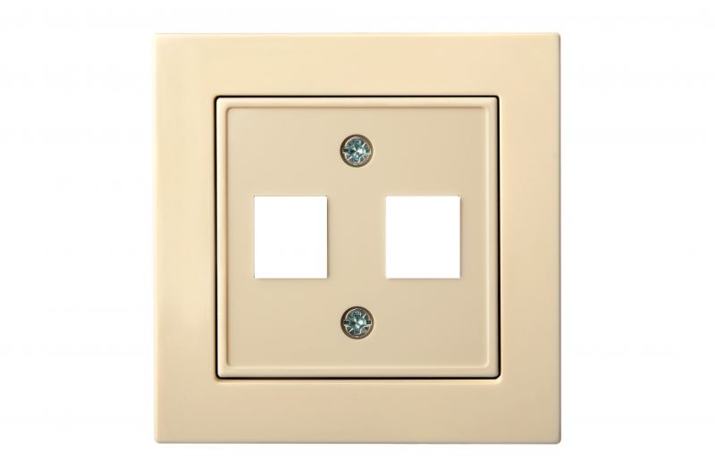 AIKL-022-01.E/S  Cover plate for 2xRJ45 connectors (AMP standart), w/f - Image 1