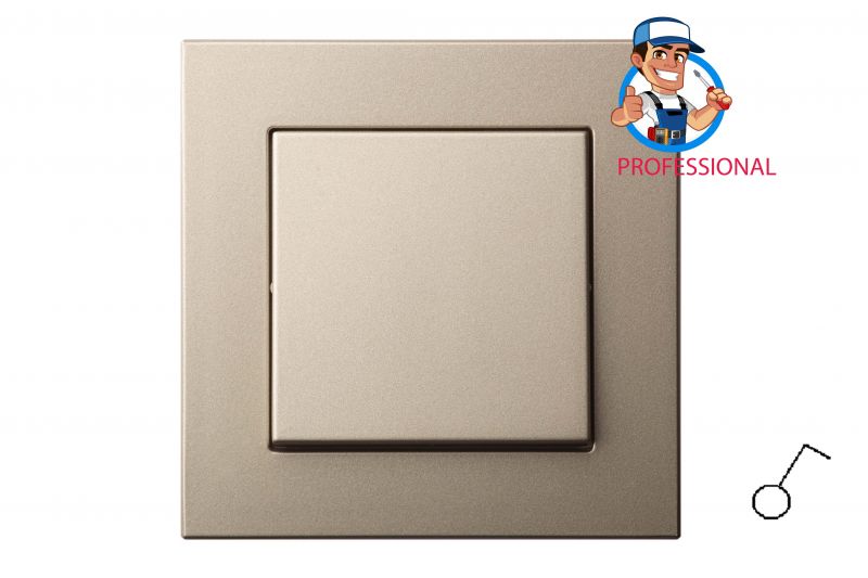 IJ1.10-203-01.E/Ch Flush mounting 1x switch,spring cont. w/f - Image 1
