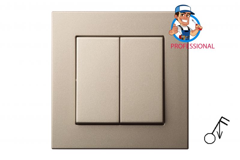 IIJ5.10-201-01.E/Ch Flush mounting  push button switch, spring.cont.10A w/f - Image 1