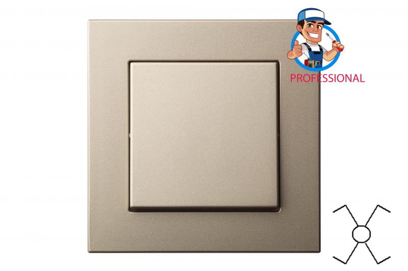 IPK6.10-201-01.E/Ch Flush mount.1x interm.swich.10A spring.cont.w/f - Image 1