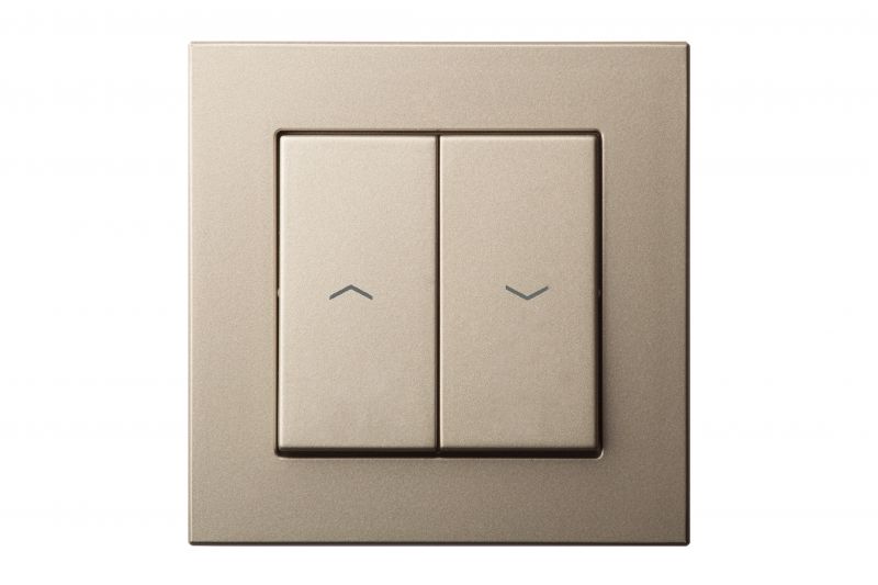 IJZ1.10-001-01.E/Ch Flush mounting roller switch, 10A, w/f - Image 1