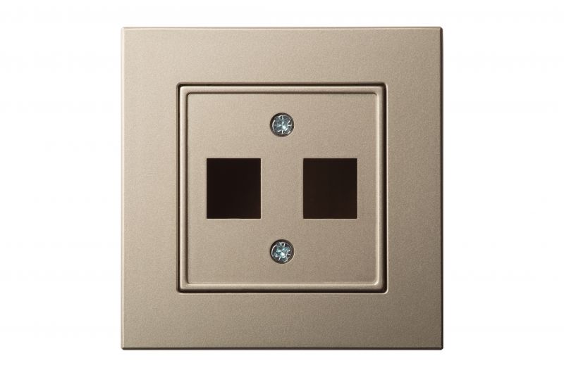 AIKL-022-01.E/Ch  Cover plate for RJ45 connectors (AMP standart) double, w/f - Image 1