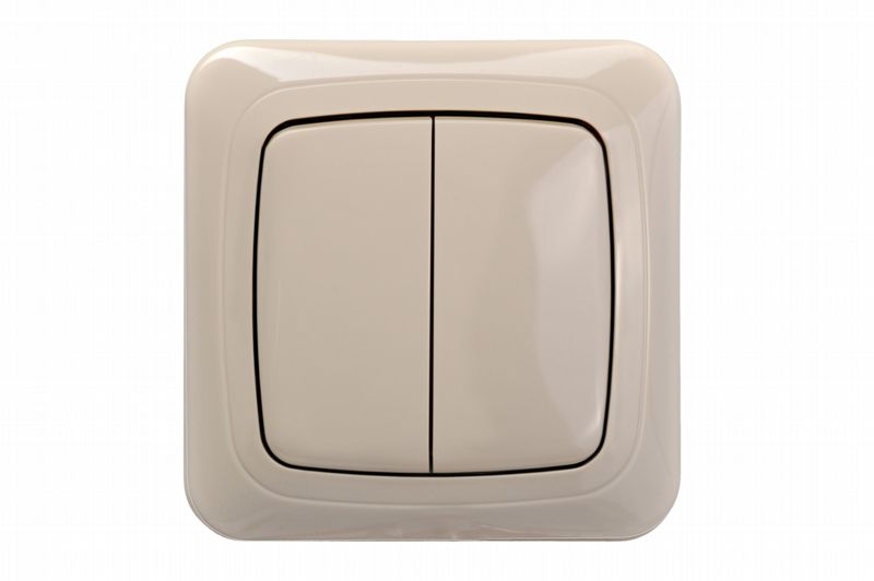 IJZ1.10-001 A/S Flush mounting roller switch, 10A, with frame - Image 2